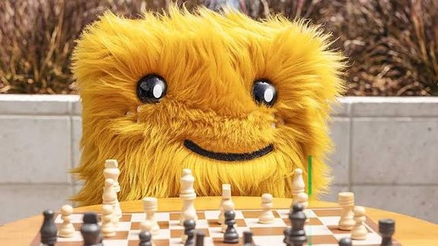 Sunny playing chess outdoors
